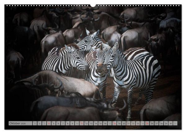 Produktbild: Emotionale Momente: Afrika Wildlife Part 2 / CH-Version (hochwertiger Premium Wandkalender 2026 DIN A2 quer), Kunstdruck in Hochglanz