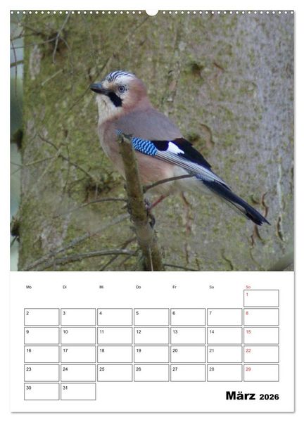Produktbild: Rabenv&ouml;gel Terminplaner (hochwertiger Premium Wandkalender 2026 DIN A2 hoch), Kunstdruck in Hochglanz