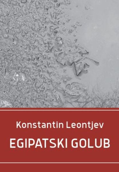 Produktbild: Egipatski golub