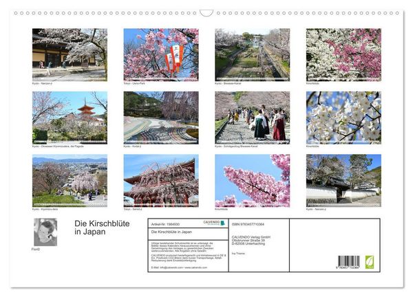Produktbild: Die Kirschbl&uuml;te in Japan (Wandkalender 2026 DIN A2 quer), CALVENDO Monatskalender