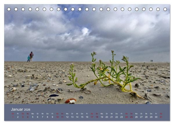 Produktbild: Norderney - Meine Trauminsel (Tischkalender 2026 DIN A5 quer), CALVENDO Monatskalender