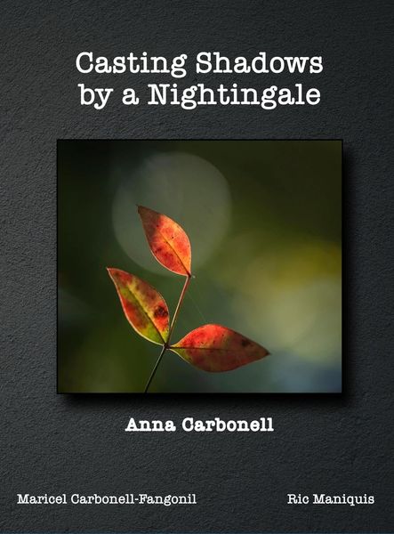 Produktbild: Casting Shadows by A Nightingale