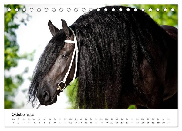 Produktbild: Pferde - Magdalena Strakova (Tischkalender 2026 DIN A5 quer), CALVENDO Monatskalender