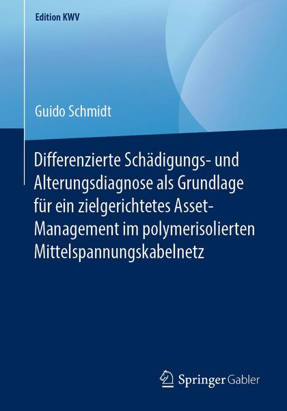 Produktbild: Differenzierte Sch&auml;digungs- und Alterungsdiagnose als Grundlage f&uuml;r ein zielgerichtetes Asset-Management im polymerisolierten Mittelspannungskabelnetz