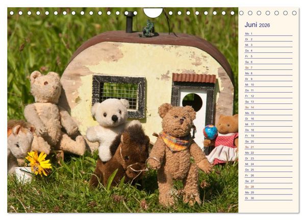 Produktbild: Geliebte B&auml;ren - Teddys (Wandkalender 2026 DIN A4 quer), CALVENDO Monatskalender