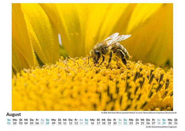 Produktbild: Bienen sammeln Bl&uuml;tenstaub