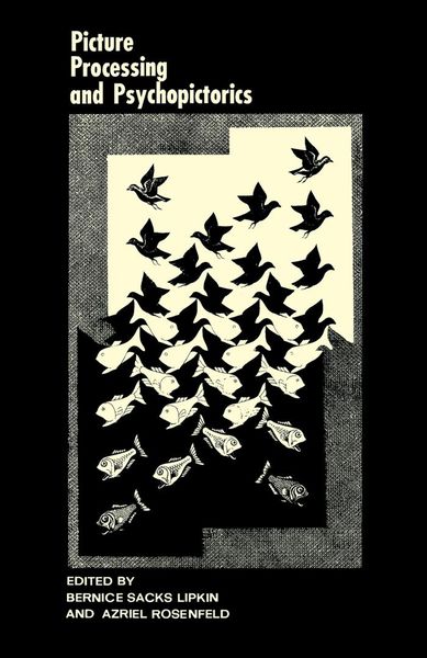 Produktbild: Picture Processing and Psychopictorics