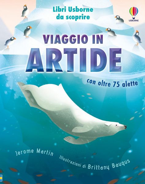 Produktbild: Viaggio in Artide