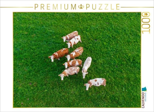 Produktbild: CALVENDO Puzzle Mehrere braun-wei&szlig;e K&uuml;he grasen friedlich auf einer saftig gr&uuml;nen Weide im Allg&auml;u aus der Luft | 1000 Teile Lege-Gr&ouml;&szlig;e 64x48cm Foto-Pu