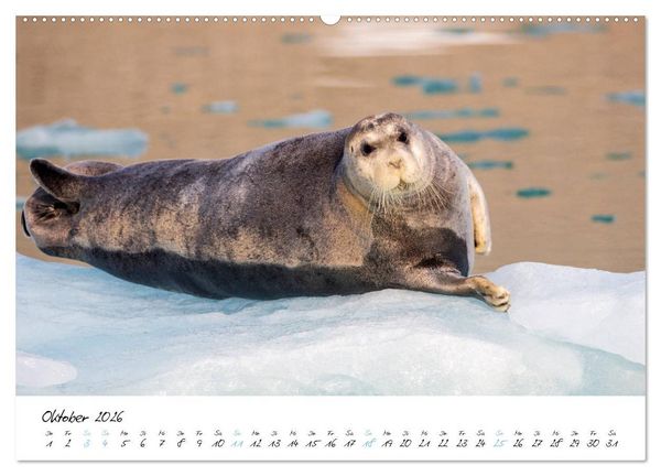 Produktbild: Heike Odermatt: 80&deg; Nord - Fotografien von Spitzbergen und Nordaustland (hochwertiger Premium Wandkalender 2026 DIN A2 quer), Kunstdruck in Hochglanz