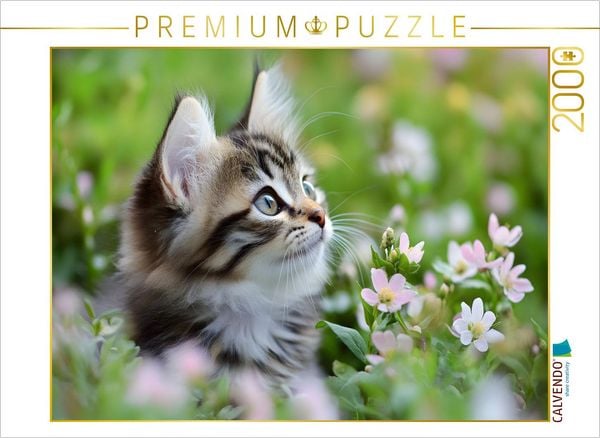 Produktbild: CALVENDO Puzzle Vertr&auml;umte Katze in der Wiese | 2000 Teile Lege-Gr&ouml;&szlig;e 90x67cm Foto-Puzzle f&uuml;r gl&uuml;ckliche Stunden