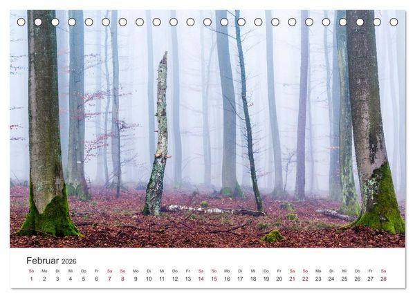 Produktbild: Im Deutschen Wald (Tischkalender 2026 DIN A5 quer), CALVENDO Monatskalender