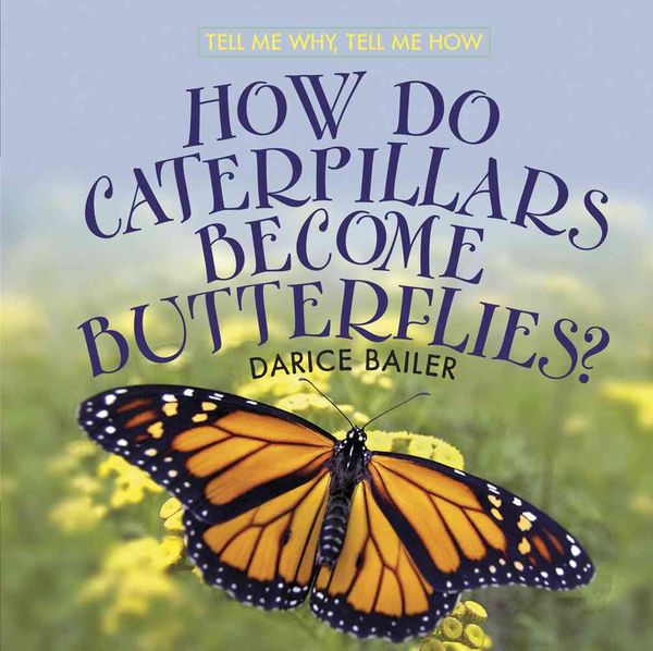 Produktbild: How Do Caterpillars Become Butterflies?