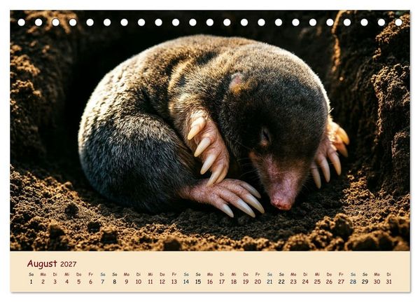 Produktbild: Im Reich der Tunnelbauer - Maulw&uuml;rfe und Nacktmulle, Leben im Verborgenen (Tischkalender 2027 DIN A5 quer), CALVENDO Monatskalender