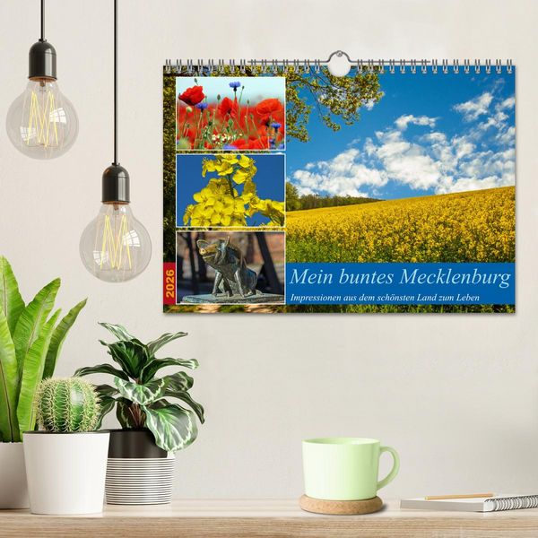 Produktbild: Mein buntes Mecklenburg (Wandkalender 2026 DIN A4 quer), CALVENDO Monatskalender