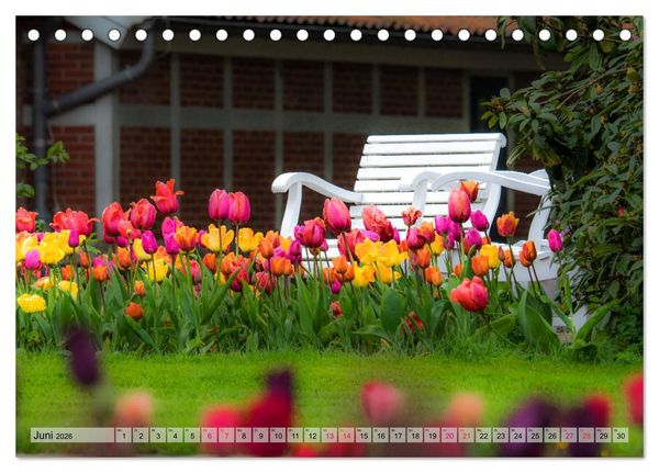 Produktbild: Schlossgarten Oldenburg. Ein Fotospaziergang (Tischkalender 2026 DIN A5 quer), CALVENDO Monatskalender