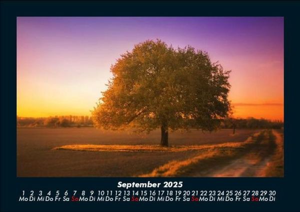 Produktbild: B&auml;ume 2025 Fotokalender DIN A5
