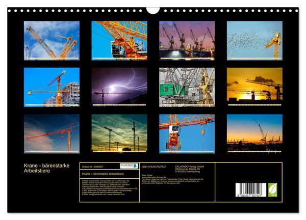 Produktbild: Krane - b&auml;renstarke Arbeitstiere (Wandkalender 2026 DIN A3 quer), CALVENDO Monatskalender