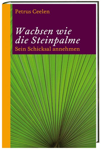 Produktbild: Wachsen wie die Steinpalme