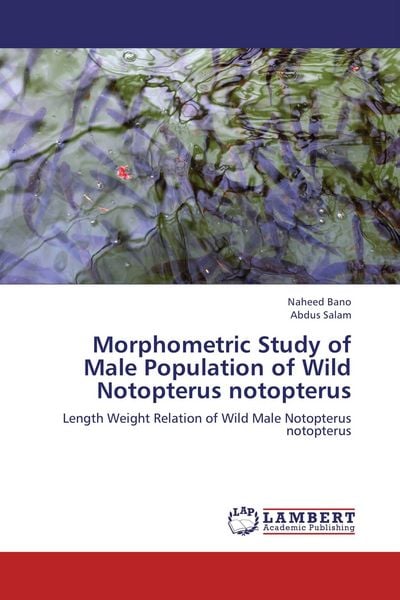 Produktbild: Morphometric Study of Male Population of Wild Notopterus notopterus