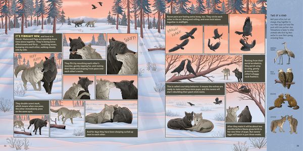 Produktbild: What Goes on Inside a Wolf Pack