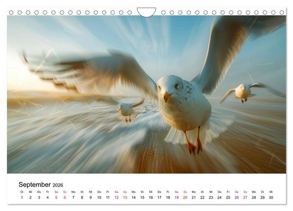 Produktbild: Maritim pur - M&ouml;wen (Wandkalender 2026 DIN A4 quer), CALVENDO Monatskalender