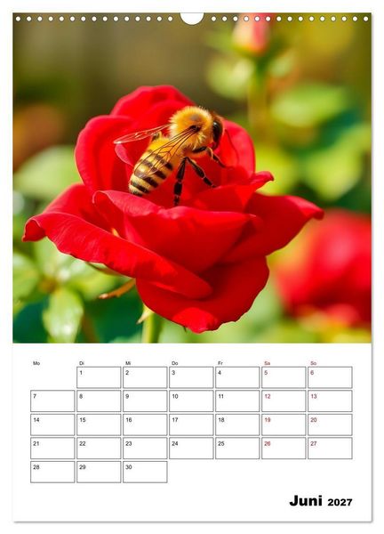 Produktbild: Die leisen Stimmen der Tiere (Wandkalender 2027 DIN A3 hoch), CALVENDO Monatskalender