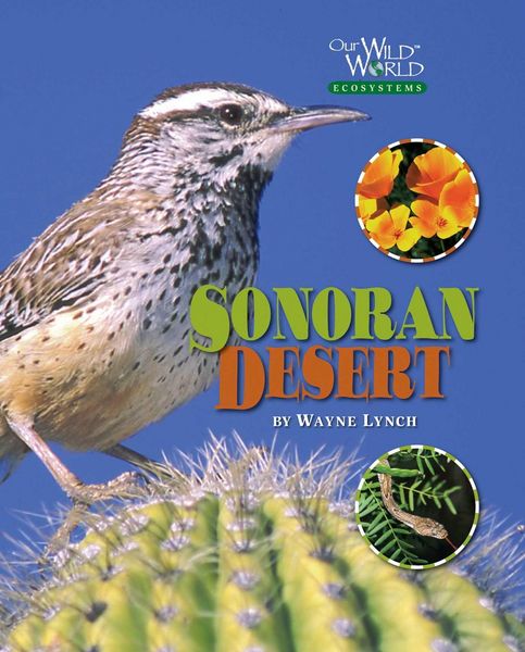 Produktbild: Sonoran Desert