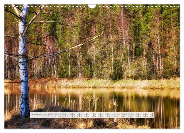 Produktbild: Die Sch&ouml;nheit des Th&uuml;ringer Waldes (Wandkalender 2026 DIN A3 quer), CALVENDO Monatskalender