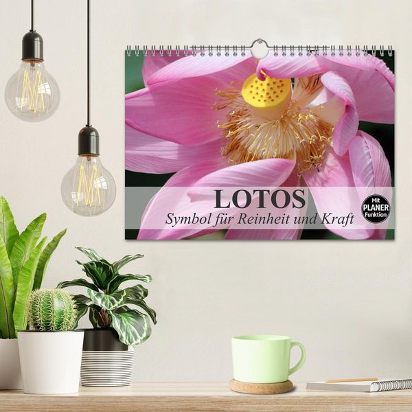 Produktbild: Lotos. Symbol f&uuml;r Reinheit und Kraft (Wandkalender 2026 DIN A4 quer), CALVENDO Monatskalender