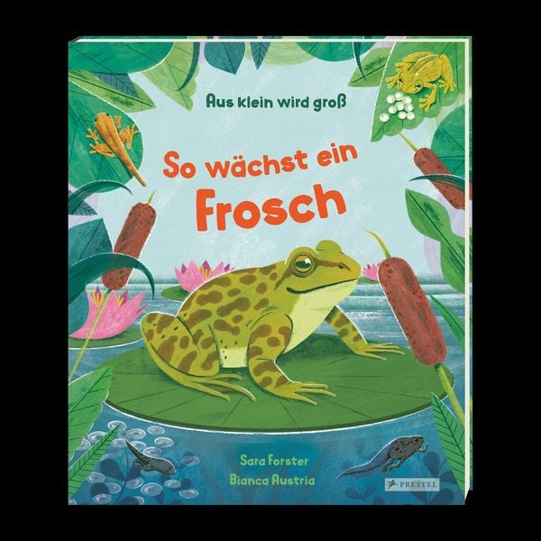 Produktbild: Aus klein wird gro&szlig;. So w&auml;chst ein Frosch