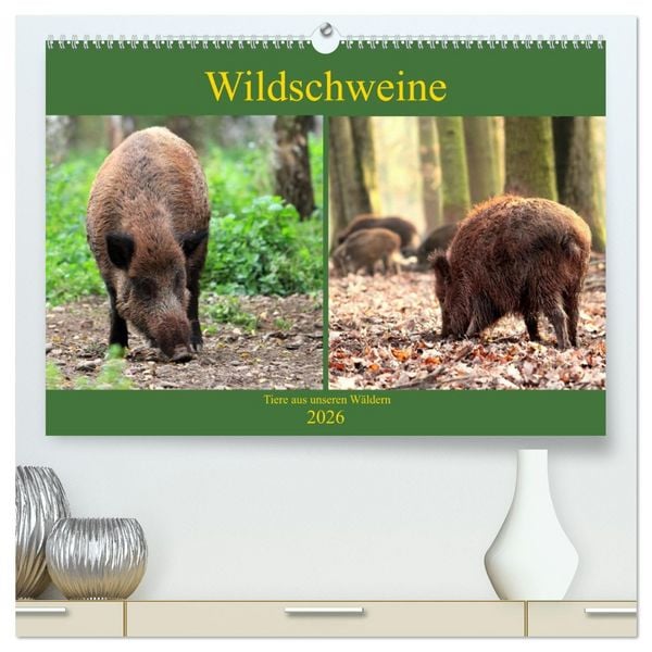 Produktbild: Wildschweine - Tiere aus unseren W&auml;ldern (hochwertiger Premium Wandkalender 2026 DIN A2 quer), Kunstdruck in Hochglanz