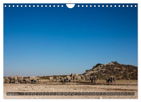 Produktbild: Wildes Namibia (Wandkalender 2026 DIN A4 quer), CALVENDO Monatskalender
