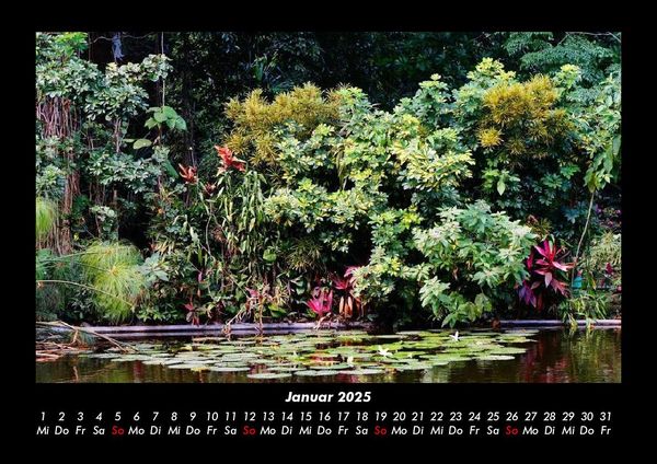 Produktbild: Natur Pur 2025 Fotokalender DIN A3