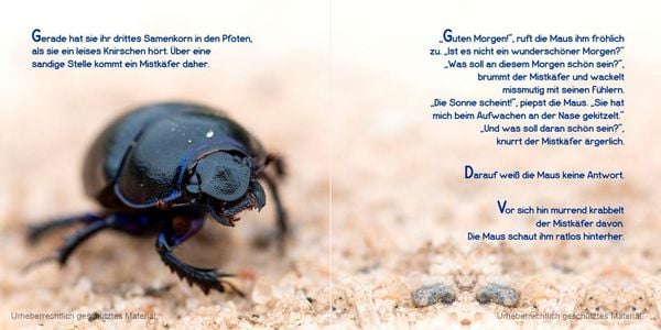 Produktbild: Guten Morgen, kleine Maus!