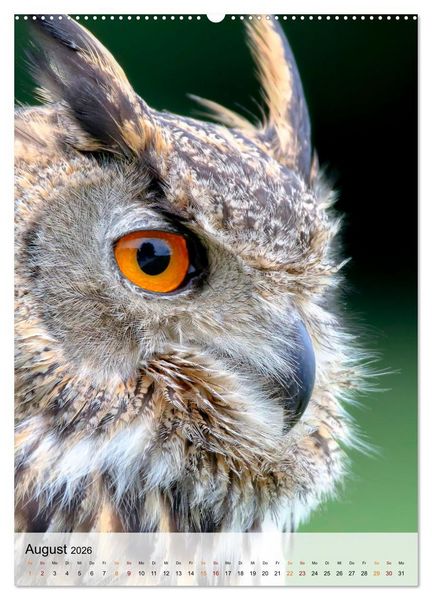 Produktbild: V&ouml;gel - gefiederte Freunde in unserer Natur (Wandkalender 2026 DIN A2 hoch), CALVENDO Monatskalender