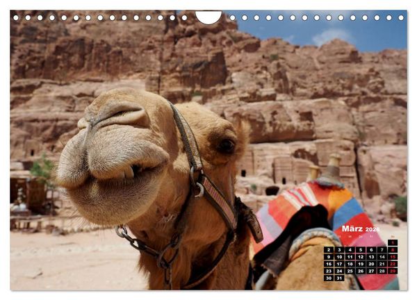 Produktbild: Petra - Felsenstadt in der W&uuml;ste (Wandkalender 2026 DIN A4 quer), CALVENDO Monatskalender