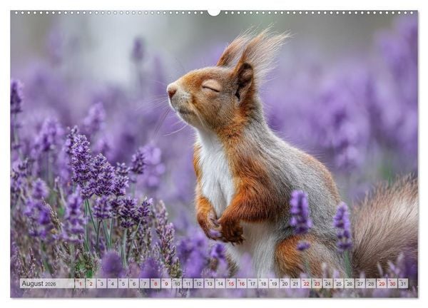 Produktbild: Hazelnuts Abenteuer (hochwertiger Premium Wandkalender 2026 DIN A2 quer), Kunstdruck in Hochglanz