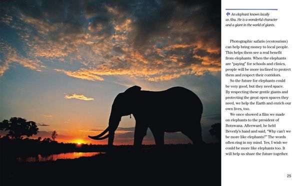 Produktbild: Face to Face with Elephants
