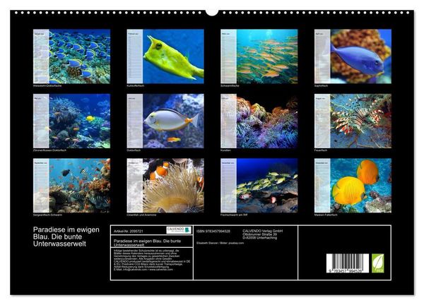 Produktbild: Paradiese im ewigen Blau. Die bunte Unterwasserwelt (hochwertiger Premium Wandkalender 2026 DIN A2 quer), Kunstdruck in Hochglanz