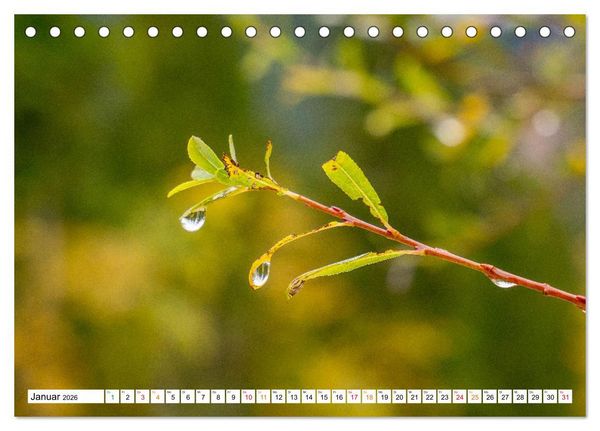 Produktbild: Natur hautnah Kalender (Tischkalender 2026 DIN A5 quer), CALVENDO Monatskalender