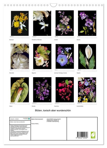 Produktbild: Bl&uuml;ten, toxisch aber wundersch&ouml;n (Wandkalender 2026 DIN A3 hoch), CALVENDO Monatskalender