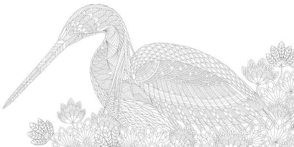 Produktbild: Millie Marotta's Beautiful Birds and Treetop Treasures: Mini Edition