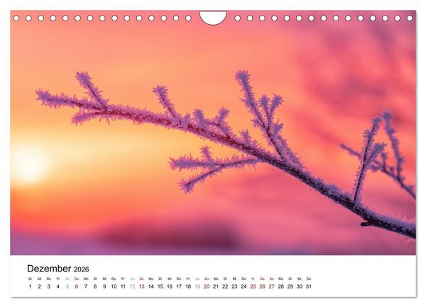 Produktbild: Minimalistische Naturmomente &ndash; Ruhe und Sch&ouml;nheit in der Natur (Wandkalender 2026 DIN A4 quer), CALVENDO Monatskalender