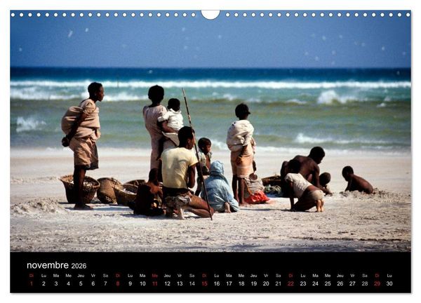 Produktbild: Madagascar L'&icirc;le aux merveilles (Calendrier mural 2026 DIN A3 vertical), CALVENDO calendrier mensuel