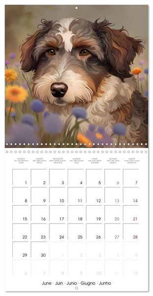 Produktbild: Aussiedoodle - Dogs to love (Wall Calendar 2026 12 &times; 12 Inch) CALVENDO 12 Month Wall Calendar