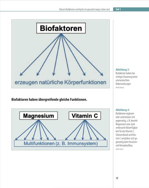 Produktbild: Biofaktoren f&uuml;r gesundes Altern