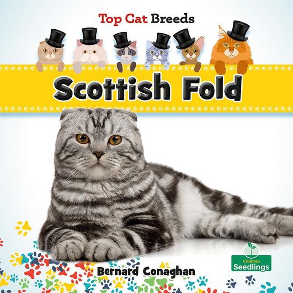 Produktbild: Scottish Fold