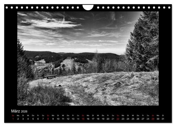 Produktbild: Harz-Bilder in monochrome (Wandkalender 2026 DIN A4 quer), CALVENDO Monatskalender