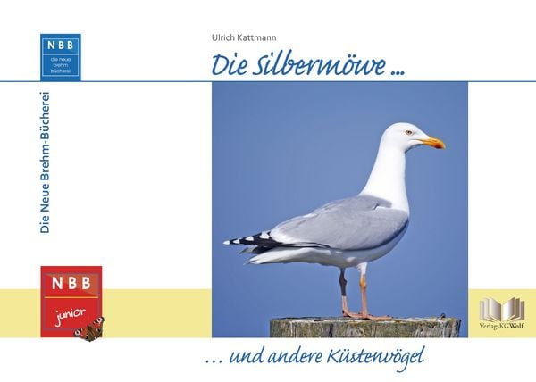 Produktbild: Die Silberm&ouml;we und andere K&uuml;stenv&ouml;gel